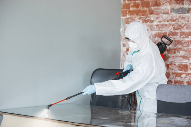 Athens, OH Mold Removal & Remediation Company